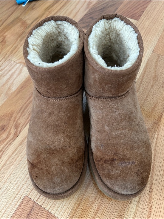 UGG Shoes - UGG Chestnut Short Shearling Booties